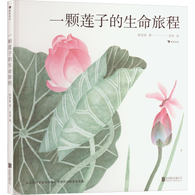 音像一颗莲子的生命旅程陈莹婷