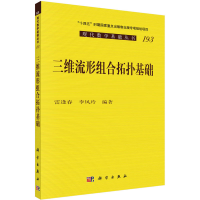 音像三维流形组合拓扑基础雷逢春,李风玲编著