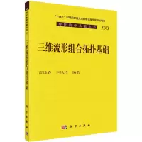 音像三维流形组合拓扑基础雷逢春,李风玲编著