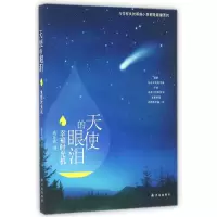 音像天使的眼泪(幸福时光机)布乐妮