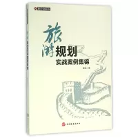 音像旅游规划实战案例集锦/原群论旅游原群