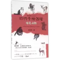 音像动物手绘图谱(哺乳动物)/手绘图谱系列/锦绣文通书系曾日明