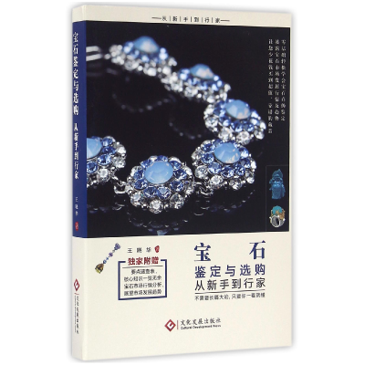 音像宝石鉴定与选购从新手到行家王晓华