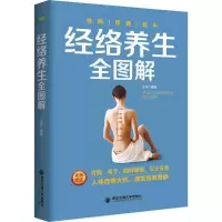 音像经络养生全图解王帅 编著