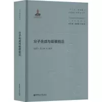 音像分子合成与组装前沿范青华等编著