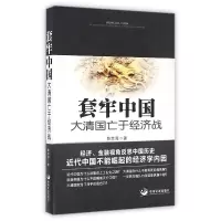 音像套牢中国(大清国亡于经济战)陈忠海