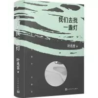 音像我们去找一盏灯叶兆言