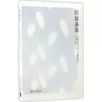 音像跨越藩篱李文宁 著