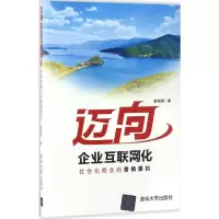 音像迈向企业互联网化崔晓阳