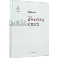 音像城市防灾规划丛书崔鹏 等 编著