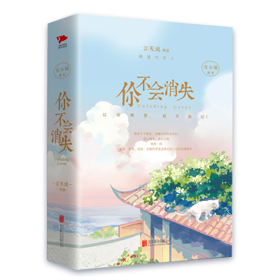 音像你不会消失(上下)江天鸿