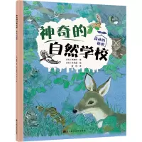 音像的自然学校 森林的秘密(韩)李康旿