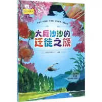 音像大雁沙沙的迁徙之旅聪明谷益智工厂 编著