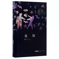 音像夜妆(精)/中坚代付秀莹
