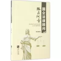 音像国企法律顾问路在何方李志勇 著