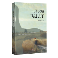 音像一只大雁飞过去了童道明