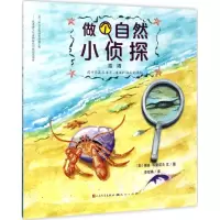 音像海滩(加)佩吉·科查诺夫(Peggy Kochanoff) 文图;李双燕 译