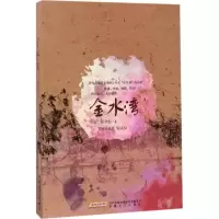音像金水湾张守志 著
