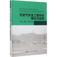 音像页岩气开发工程中的理论与实践曾义金,杨春和,张保平 著