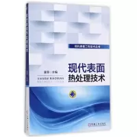 音像现代表面热处理技术/现代表面工程技术丛书编者:潘邻