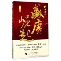 音像盛唐崛起(1塞上风云)庚新