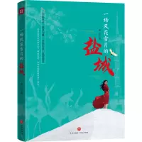 音像一场风花雪月的盐城曾丹 著