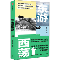 音像东游西荡大头马