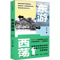 音像东游西荡大头马