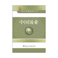 音像中国铍业有色金属系列丛书