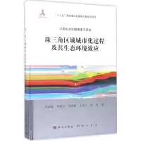 音像珠三角区域城市化过程及其生态环境效应肖荣波 等 著