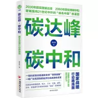 音像碳达峰·碳中和:战略行动路线图袁志刚