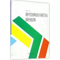音像现代包装设计技巧与综合应用李帅 著