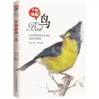 音像万物我画宋洋 主编;李卓 绘画