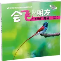 音像