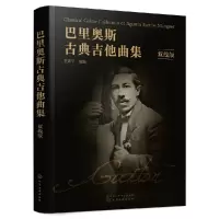 音像巴里奥斯古典吉他曲集(双线版)王迪平 编著