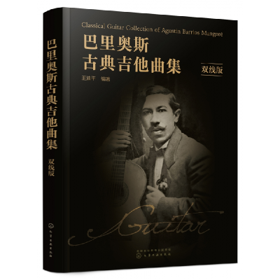 音像巴里奥斯古典吉他曲集(双线版)王迪平 编著