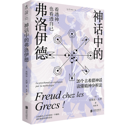 音像神话中的弗洛伊德[法]皮埃尔·瓦罗