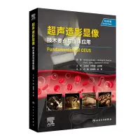 音像超声造影显像:技术要点与临床应用卢强,彭成忠,赵博