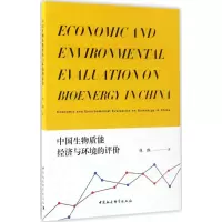 音像中国生物质能经济与环境的评价林琳 著