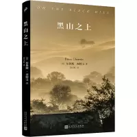 音像黑山之上(英)布鲁斯·查特文