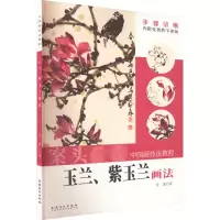 音像玉兰、紫玉兰画法乔森