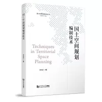 音像国土空间规划编制技术(国土空间规划培训丛书)张尚武