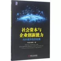 音像社会资本与企业创新能力李宏贵,谢峰 著