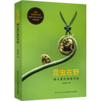 音像昆虫在野 镜头里的美丽邻居欧阳临安