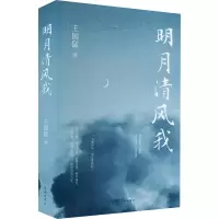 音像明月清风我王国猛