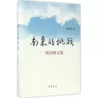 音像南来的挑战梁国典 著