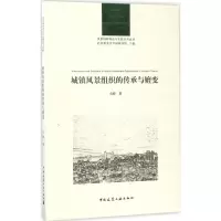 音像城镇风景组织的传承与嬗变达婷 著