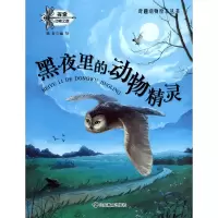 音像黑夜里的动物精灵/奇趣动物绘本丛书陈奇