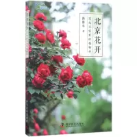 音像北京花开韩静华 著