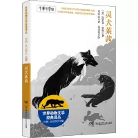 音像灵犬莱茜(美)埃里克·奈特